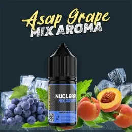 Asap Grape Nasty Juice Mix Aroma