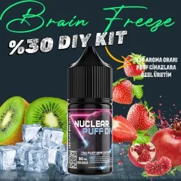 Puff - Bar Vozol Elf Bar Dıy Kit Aroma Brain Freeze