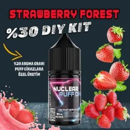 Puff - Bar Vozol Elf Bar Dıy Kit Aroma Strawberry Forest